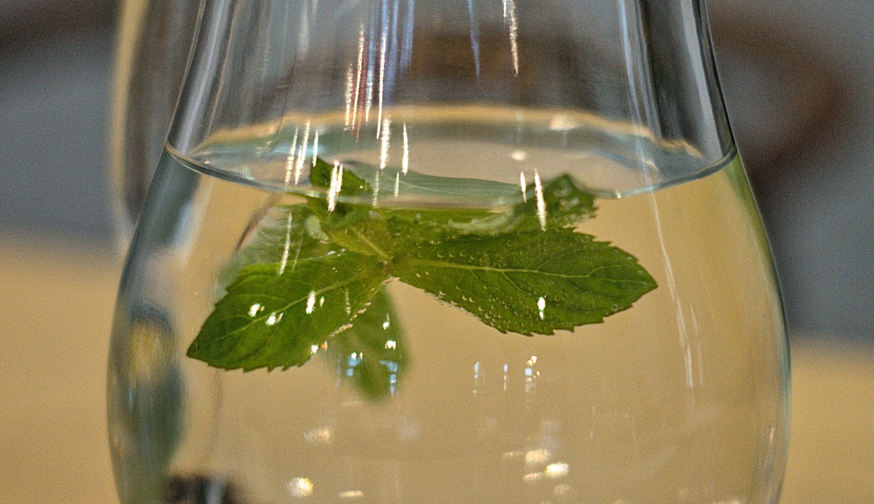 Receitas: Água Aromatizada